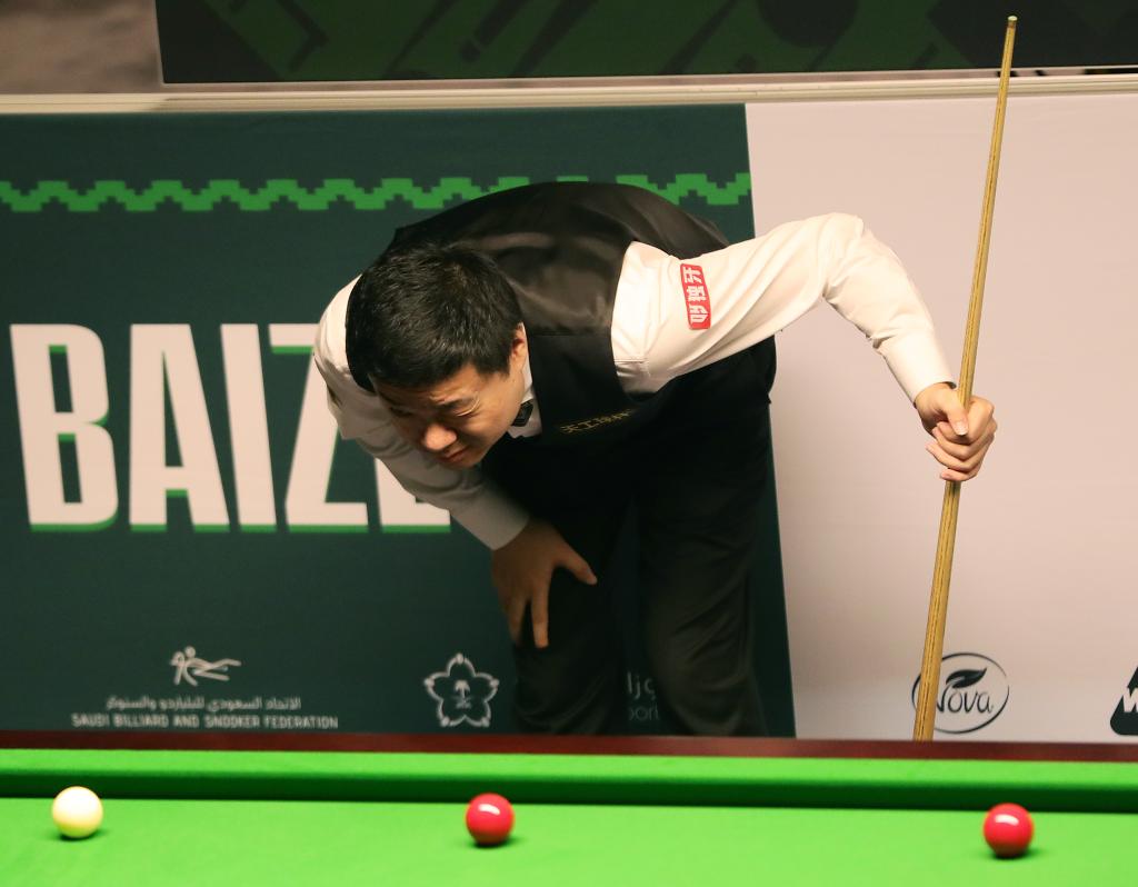 不仅展示了 不仅展示了