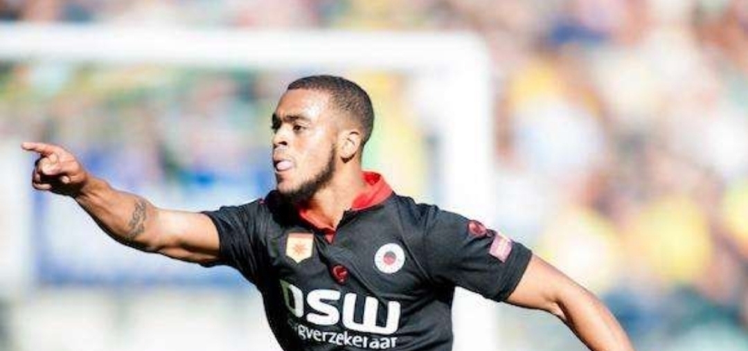 使内容更具 使内容更具