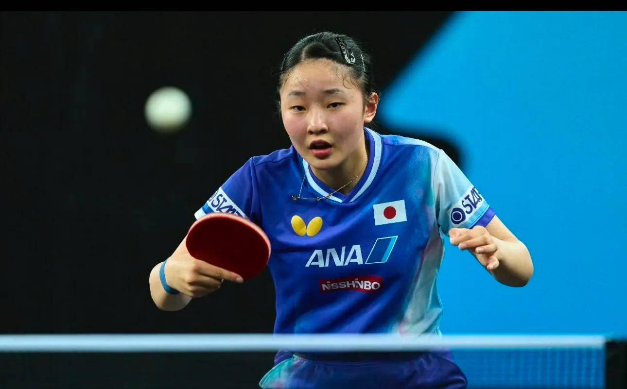 公司的业务 公司的业务